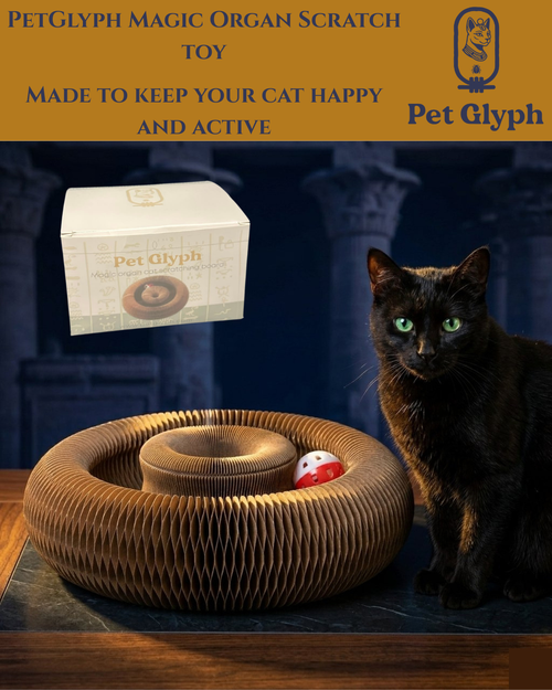Interactive Paper Scratch Toy from petglyph. Corrugated Cat Toys with Sounding Bell Ball. Foldable Toys with Easy Magnetic Assembly. Perfect for Indoor Cats.