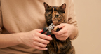 Pet Nail Clipper with Nail File, Stainless Steel Blades, Non-Slip Grip, for Dogs and Cats. (Large and Small)