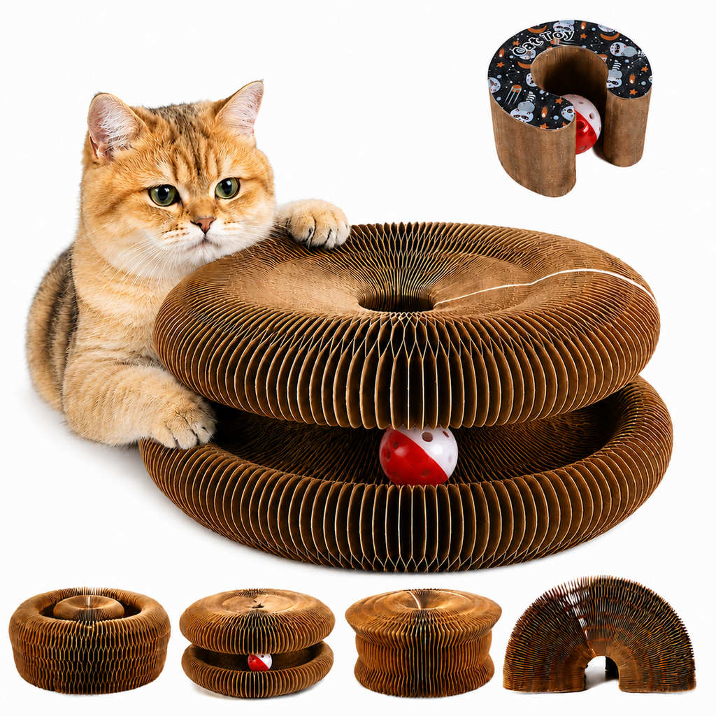 Interactive Corrugated Cat Scratch Organ