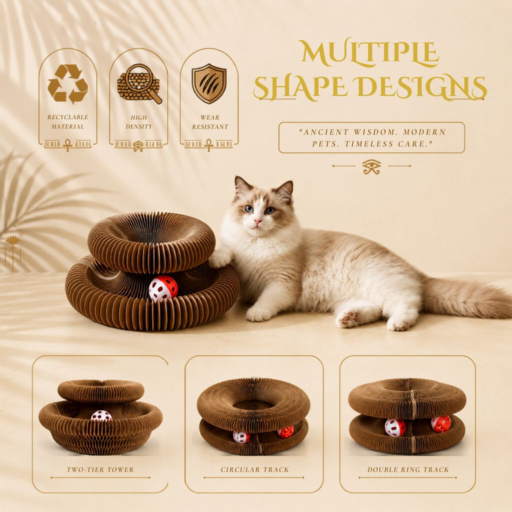 Interactive Corrugated Cat Scratch Organ