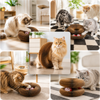 Interactive Corrugated Cat Scratch Organ