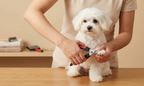Pet Nail Clipper with Nail File, Stainless Steel Blades, Non-Slip Grip, for Dogs and Cats. (Large and Small)